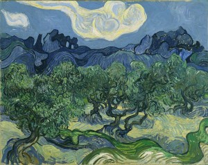 Van Gogh the Olive Trees with the Alpilles in the background
