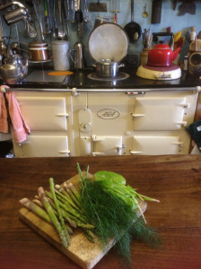 Preparing dinner in front of the AGA