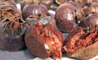 Bletted_medlar