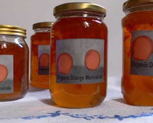 Organic Orange Marmalade