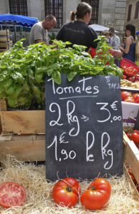 Tomatoes with Basil plant