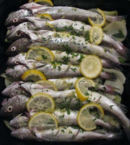 Whiting on a bed of fennel